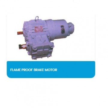 Brake Motors