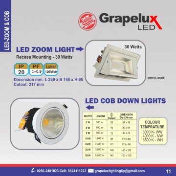 LED ZOOM LIGHT