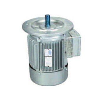 FLANGE MOUNTED ALUMINUM DIE-CAST MOTOR